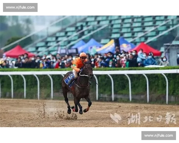 香港赛马会 202526 赛季开锣 4.3 万观众共赴马坛盛事 香港赛马会 202526 赛季开锣 4.3 万观众共赴马坛盛事