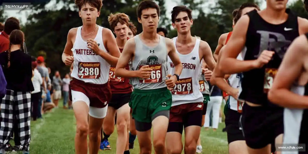 为什么选择我们